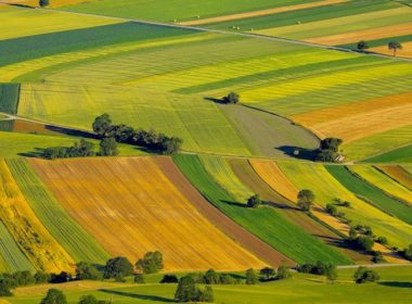 Modificări la Legea privind vânzarea terenurilor agricole