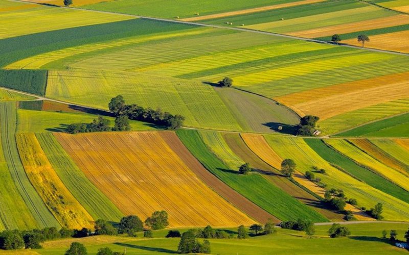 Legea Vânzării Terenurilor Agricole – Statul va putea cumpăra pământul