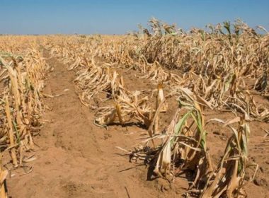 MADR confirmă negocierile pentru gestionarea mutuală a secetei, grindinei sau îngheţului