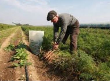 Sprijin de 100.000 EURO pentru fermierii trecuţi de 40 de ani – Regulament UE OFICIAL