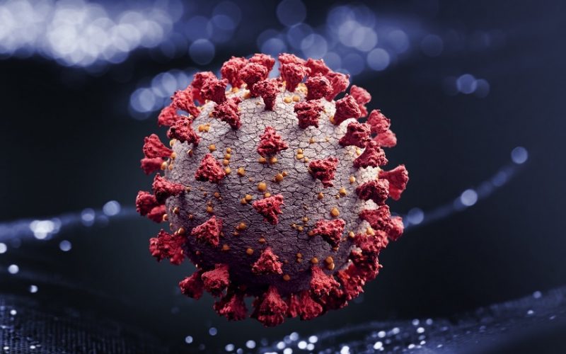 Coronavirus: Peste 2,44 de milioane de persoane au murit din cauza pandemiei în întreaga lume de la finalul anului 2019