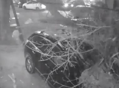 Momentul în care un copac cade peste două maşini parcate, în Bucureşti. Imagini de pe camerele de supraveghere