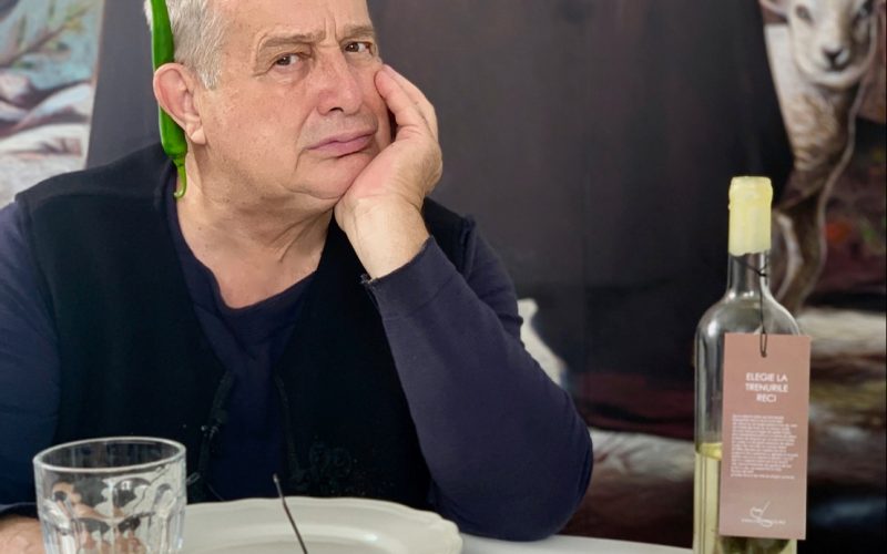 Dinescu: Nu susţin testarea în restaurante