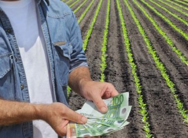 Avans APIA 2021 – 100.000 de fermieri au deja banii în conturi