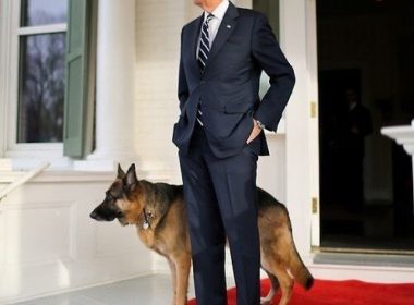 Câinii lui Joe Biden au fost daţi afară de la Casa Albă, după un „incident”