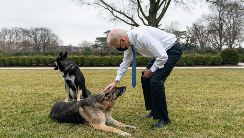 Câinii lui Biden, afară de la Casa Albă
