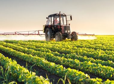Când vor ajunge subvenţiile fermierilor români la nivelul celor din Vest?