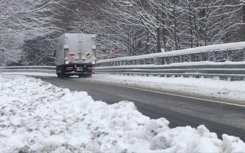 Copaci căzuţi pe carosabil din cauza ninsorilor abundente. Trafic blocat pe DN11 Oituz