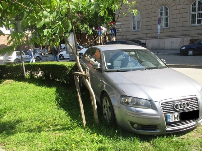 Primarul Sectorului 6 propune majorarea amenzilor pentru vehiculele parcate pe spaţiile verzi