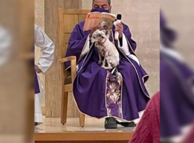 Un preot din Mexic a oficiat liturghia cu căţelul în braţe: „Este foarte bolnav şi dacă îl las acasă se întristează”