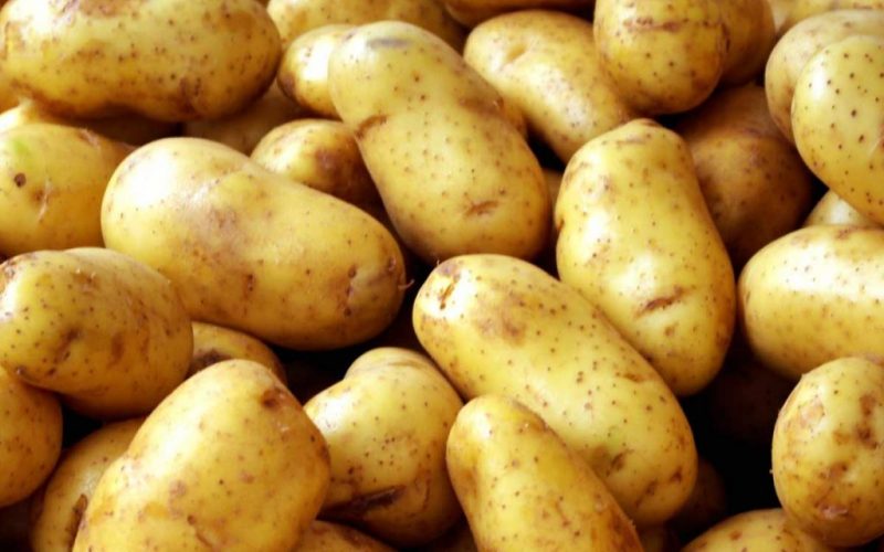 Criza cartofilor româneşti - dispar rapid de pe piaţă. Preşedinte Clubul Fermierilor: Riscăm ca peste 7 ani să nu mai avem despre ce să vorbim. De ce supermarketurile aleg marfa producătorilor străini