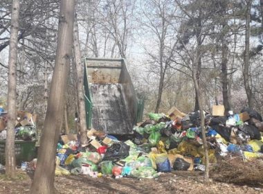 Parcul Herăstrău riscă să devină groapă de gunoi. Chiar firma de salubritate ar fi de vină