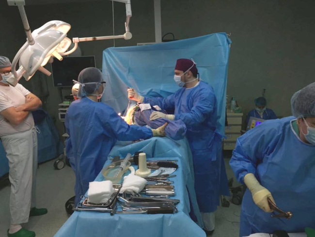 Progres medical uriaş: Un rinichi de porc a fost transplantat cu succes la om