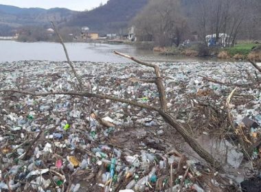 Dunărea, sufocată de gunoaie