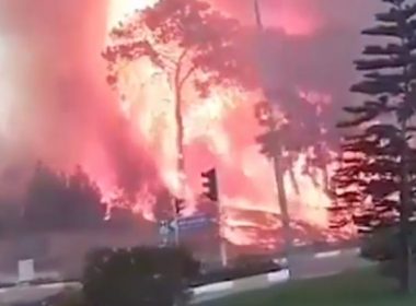 Imagini de coşmar în Turcia: Incendii uriaşe în două zone turistice