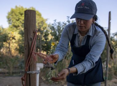 În California lovită de secetă, hoţii de apă fură miliarde de litri din hidranţi şi conducte, pentru a uda culturi ilegale de marijuana
