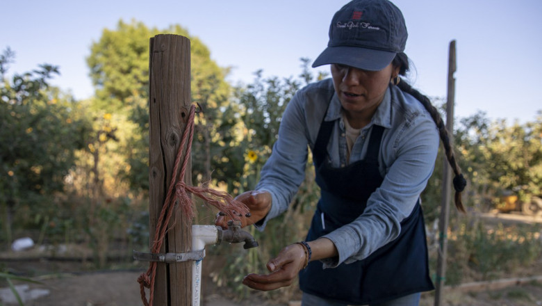 În California lovită de secetă, hoţii de apă fură miliarde de litri din hidranţi şi conducte, pentru a uda culturi ilegale de marijuana