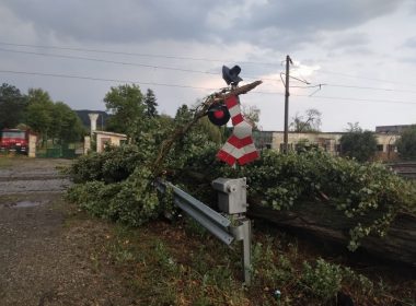 Copac prăbuşit pe calea ferată între Iclod şi Bonţida, unde traficul feroviar se desfăşoară cu locomotive diesel / În Braşov, circulaţia e blocată după prăbuşirea mai multor pomi / Şi pe raza regionalelor Iaşi şi Bucureşti sunt probleme