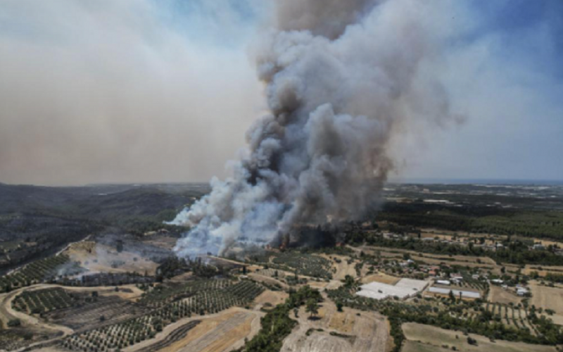 Turişti cuprinşi de panică, evacuaţi cu barca din apropierea unor incendii de pădure în Turcia; Guvernul urmează să suporte chiria persoanelor afectate de incendii şi să le reconstruiască locuinţele arse, anunţă Erdogan într-o vizită în zona sinistrată