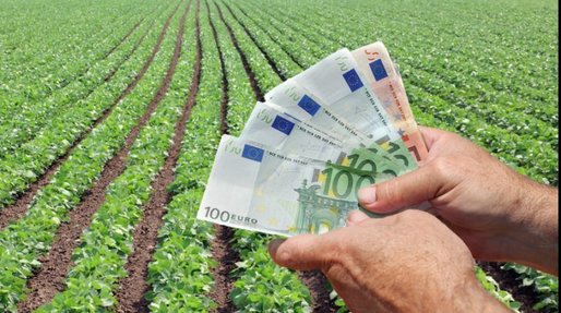 Sprijin AFIR de 150 milioane EURO pentru legumicultori