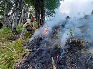 Incendiu de pădure în Munţii Căpăţânii. Patru hectare de copaci tineri au fost cuprinse de flăcări