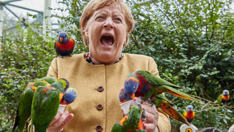 Angela Merkel a vizitat parcul de păsări din Marlow şi a oferit imaginea zilei