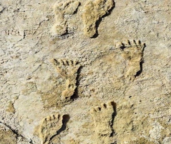 Urme de paşi, considerate cele mai vechi amprente lăsate de om, au fost descoperite în America de Nord