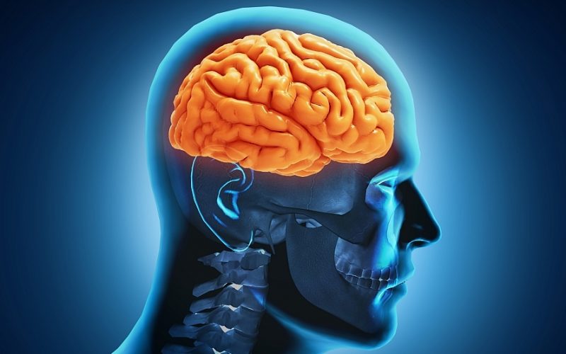 COVID-19 poate duce la micşorarea creierului şi la pierderi de memorie, arată un nou studiu