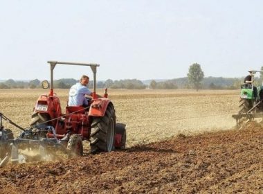 Fermierii au depus peste 330.000 de cereri de plată pentru o suprafaţă de 1,87 milioane hectare