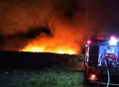 Incendiu de vegetaţie uscată în apropierea unor sonde la Boldeşti Scăieni