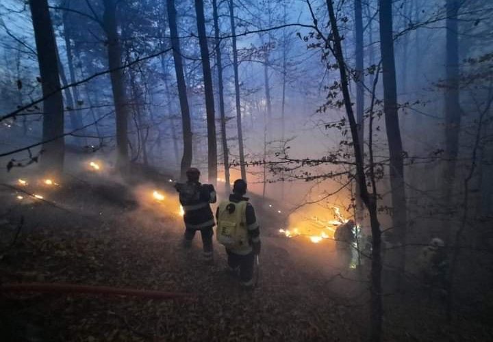 Pădurea de la Oituz arde de o săptamână. 30 de pompieri încearcă să stingă incendiul