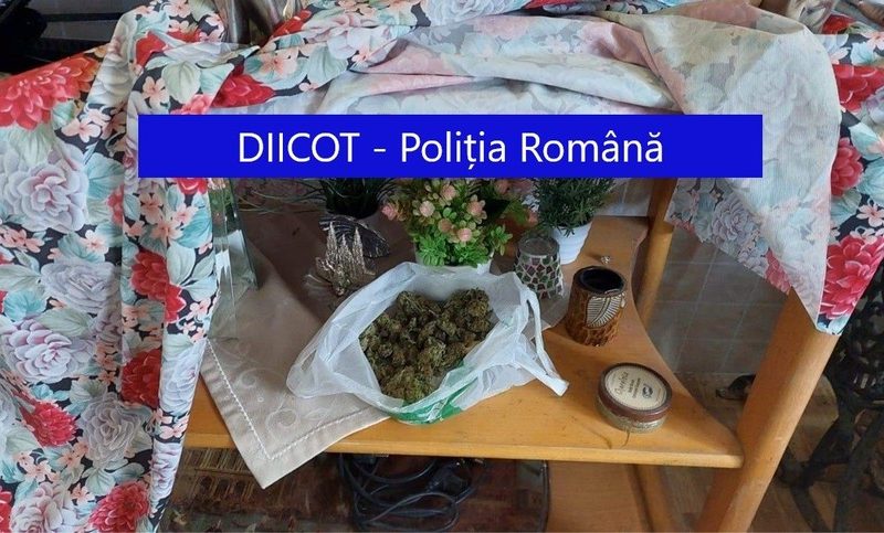 Cinci persoane care ar fi importat droguri din Spania pentru a le vinde în România, reţinut de DIICOT Bacău