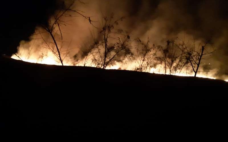 Peste 70 de pompieri au intervenit pentru stingerea a opt incendii; au ars 70 de hectare de vegetaţie
