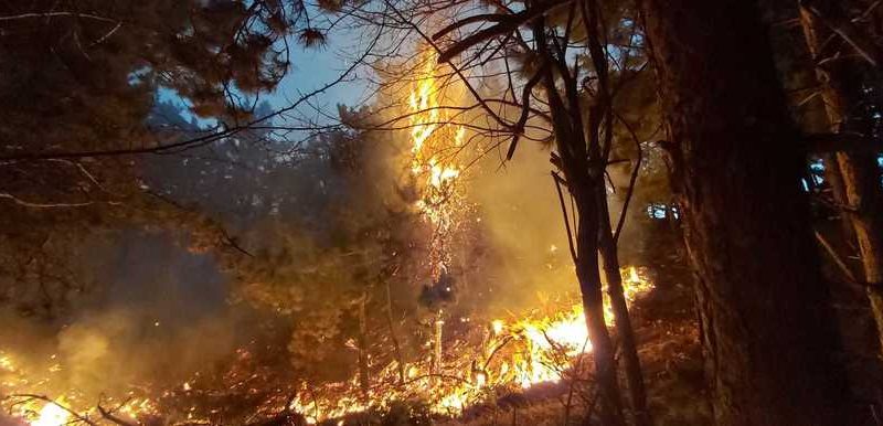 A fost solicitat sprijin aerian pentru stingerea incendiului de pe dealurile din Breaza / Flăcările au ajuns şi la parcul de antene şi relee de pe Vârful Istriţa 
