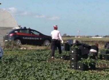 Muncitori români exploataţi până la epuizare în fermele din Italia. Ce păţeau dacă refuzau să muncească