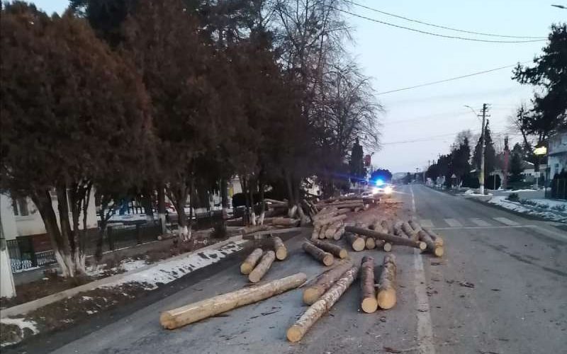 Trafic restricţionat pe DN 15C, la Bodeşti, după ce mai mulţi buşteni au căzut dintr-un camion