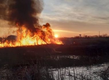 Incendii uriaşe în Delta Dunării