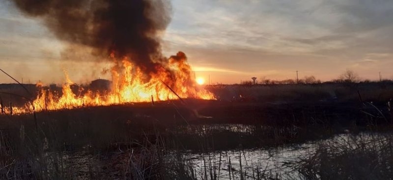 Incendiu puternic de vegetaţie la Iaşi! Flăcările se apropie de casele oamenilor