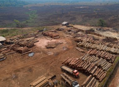 CNN: Suprafaţa de păduri tropicale distruse în 2021 este mai mare decât teritoriul Cubei￼