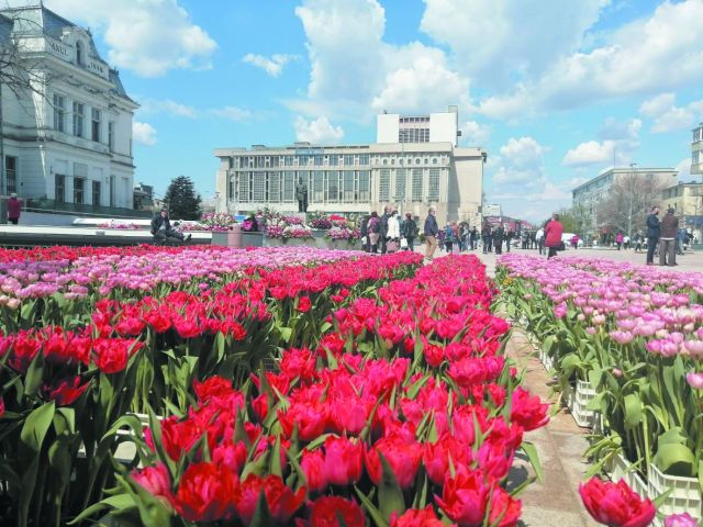 Paradă la Piteşti de Simfonia Lalelelor