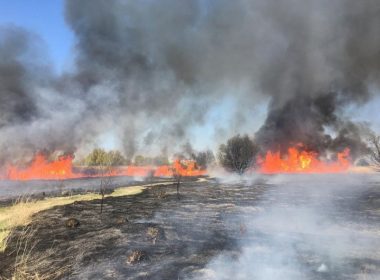 Incendiu puternic în Delta Văcăreşti