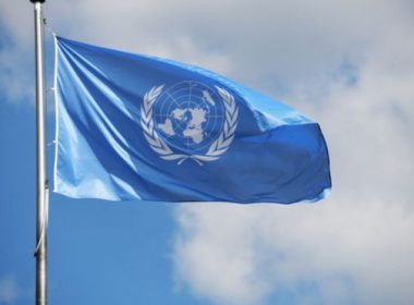 Directorul OMS doreşte un rol central al agenţiei ONU în sistemul global de sănătate