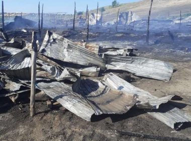 Peste 200 de oi au ars într-un incendiu izbucnit la Tocileni