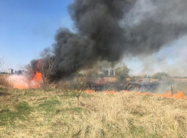 Incendiu în Parcul Natural Văcăreşti, la 500-700 de metri de Splaiul Unirii/ Este afectată o suprafaţă de 4.000 de metri pătraţi