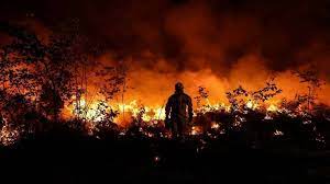 Incendiile de vegetaţie fac prăpăd în Europa
