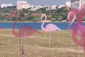 Flamingo din plastic pe insula secetei