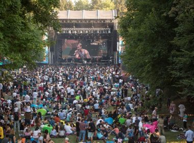 Distracţie în toi la Summer Well