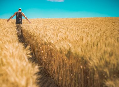 Cultivatorii români vor ca autorităţile să ia măsuri urgente în problema cerealelor ucrainene
